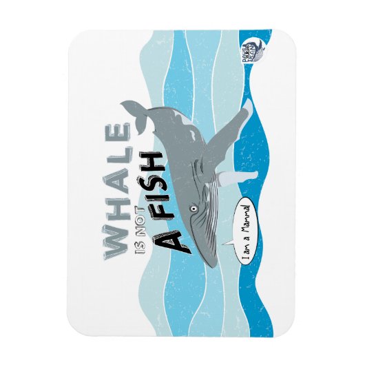 Magnet Flexible La baleine n'est pas un poisson (Vertical)