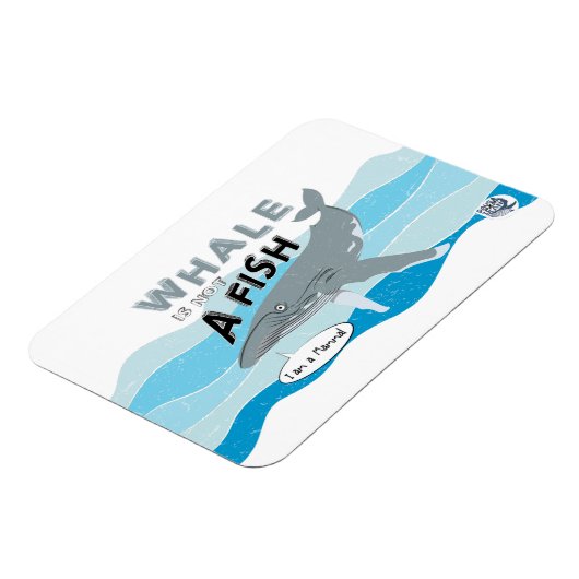 Magnet Flexible La baleine n'est pas un poisson (Côté Gauche)