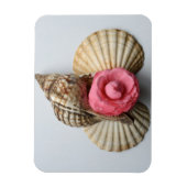 Magnet Flexible La Camellie Et Les Coquilles (Vertical)