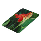 Magnet Flexible La Canne - L'aimant (Côté Gauche)