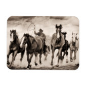 Magnet Flexible La Chase I (Horizontal)