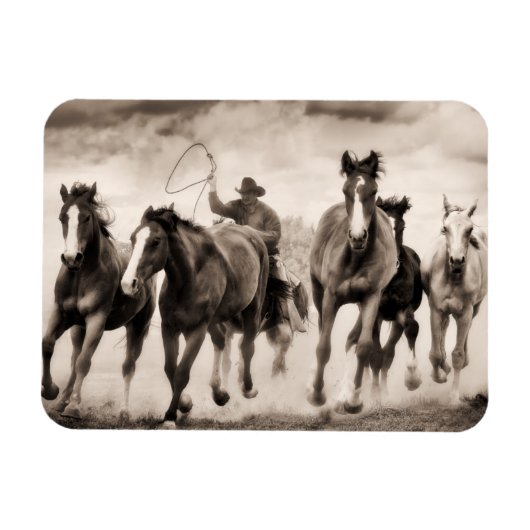 Magnet Flexible La Chase I (Horizontal)