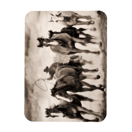 Magnet Flexible La Chase I (Vertical)