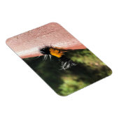 Magnet Flexible La Chaudière dansante (Côté Droit)