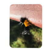 Magnet Flexible La Chaudière dansante (Vertical)