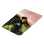 Magnet Flexible La Chaudière dansante (Côté Gauche)