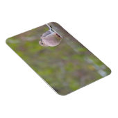 Magnet Flexible La colombe en deuil (Côté Droit)