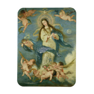 Magnet Flexible La conception impeccable