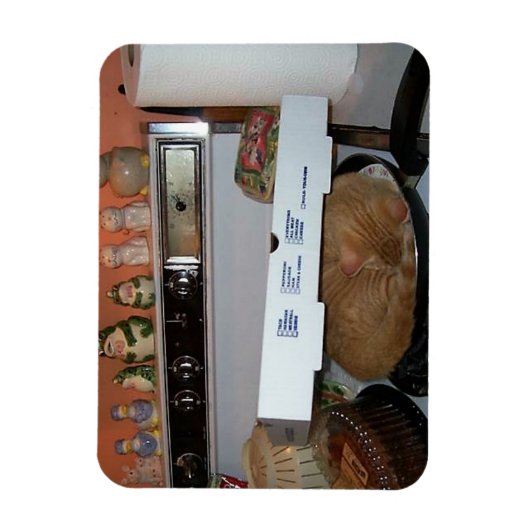 Magnet Flexible La couverture de pizza Leo (Vertical)