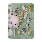 Magnet Flexible La fête des pommes (Vertical)