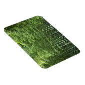 Magnet Flexible La forêt de Bamboo (Côté Droit)
