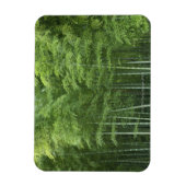 Magnet Flexible La forêt de Bamboo (Vertical)