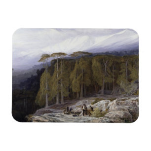 Magnet Flexible La forêt de Valdoniello, Corse, 1869 (huile sur c