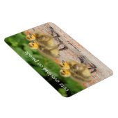 Magnet Flexible La gentillesse lors de la parade : Goélands d'oies (Côté Droit)