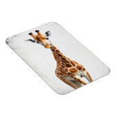 Magnet Flexible La girafe (Côté Droit)