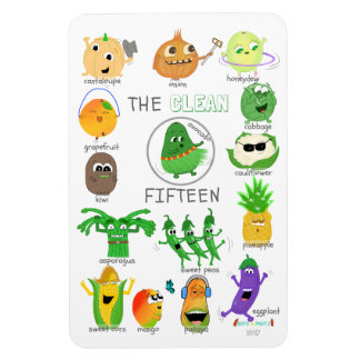 Magnet Flexible La liste illustrée Clean 15 - 2017 (étiquetée)