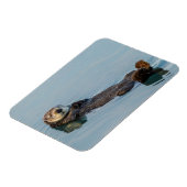 Magnet Flexible La loutre de mer flottant sur le dos dans l'océan (Côté Gauche)