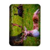 Magnet Flexible La Majesté de la nature dans le parc Phoenix (Vertical)