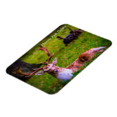 Magnet Flexible La Majesté de la nature dans le parc Phoenix (Côté Gauche)