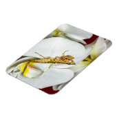 Magnet Flexible La Mante des fleurs (Côté Gauche)