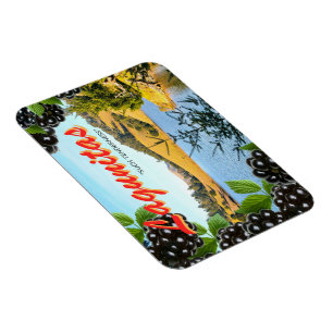 Magnet Flexible La "méditation chez Lagunitas" Carte-A inspiré