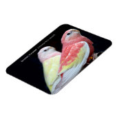 Magnet Flexible La perruque de Rubino Bourke (Côté Gauche)