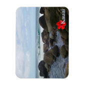 Magnet Flexible La plage de Hanakapi'ai (Vertical)