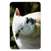 MAGNET FLEXIBLE LA RAM (Vertical)