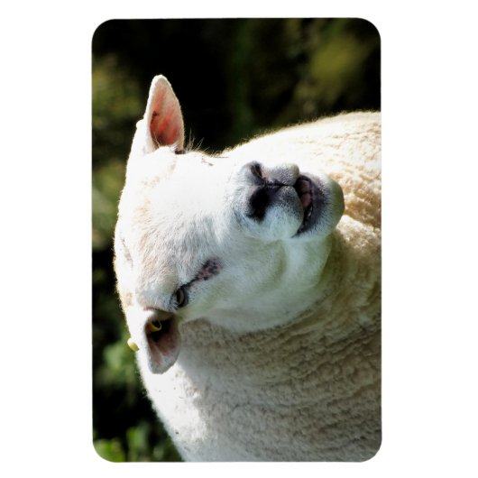 MAGNET FLEXIBLE LA RAM (Vertical)