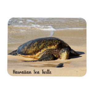 Magnet Flexible La tortue de mer d'Hawaï sur le sable