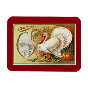 Magnet Flexible La Turquie blanche vintage