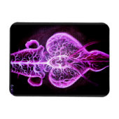 Magnet Flexible La vascularisation du système nerveux en roden (Horizontal)