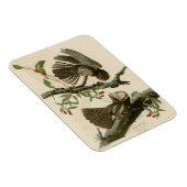 Magnet Flexible La veuve de Chuck-will - Les oiseaux d'Amérique d' (Côté Droit)