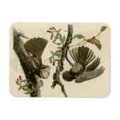 Magnet Flexible La veuve de Chuck-will - Les oiseaux d'Amérique d' (Horizontal)