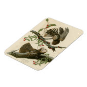 Magnet Flexible La veuve de Chuck-will - Les oiseaux d'Amérique d' (Côté Gauche)