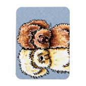 Magnet Flexible Labradoodures au chocolat à la crème (Vertical)