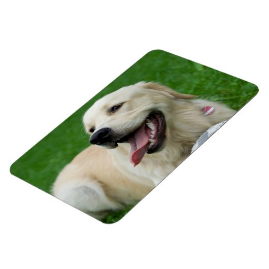 Magnet Flexible Labrador doux (Côté Gauche)