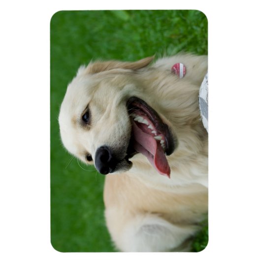 Magnet Flexible Labrador doux (Vertical)