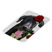 Magnet Flexible Labrador noir avec Rose (Côté Gauche)