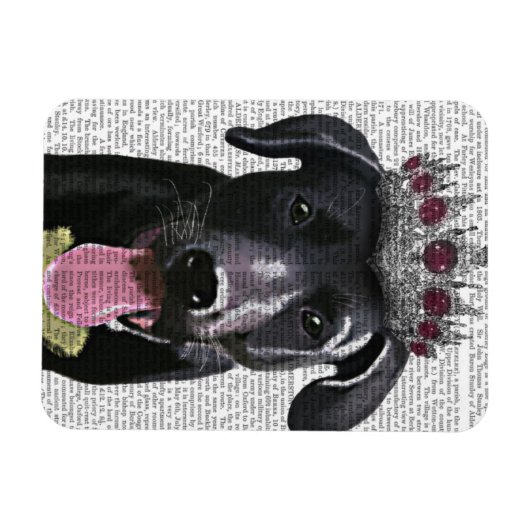 Magnet Flexible Labrador Noir Avec Tiara (Horizontal)