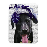 Labrador Noir avec ventilateur bleu