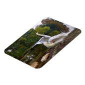 Magnet Flexible Lac de Swan (Côté Gauche)