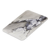 Magnet Flexible Lac Swan 2001 (Côté Gauche)