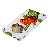 Magnet Flexible L'adorable colibri Anna sur Berry Bush (Côté Gauche)