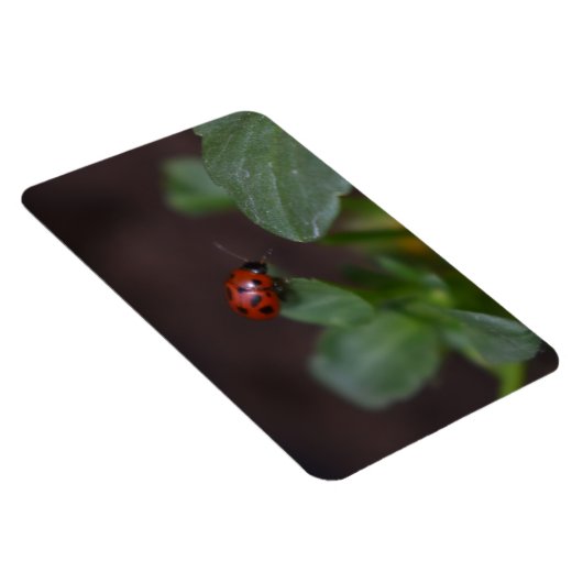 Magnet Flexible Ladybug (Côté Droit)