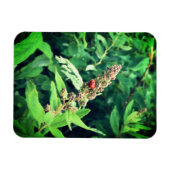 Magnet Flexible Ladybug (Horizontal)