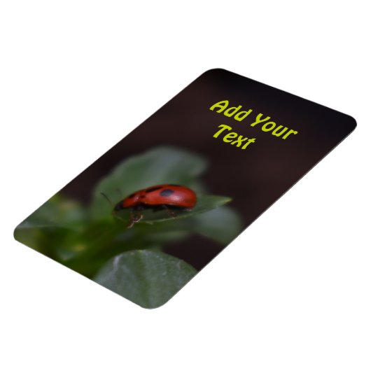Magnet Flexible Ladybug (Côté Gauche)