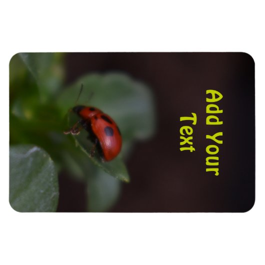 Magnet Flexible Ladybug (Horizontal)