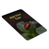 Magnet Flexible Ladybug (Côté Droit)