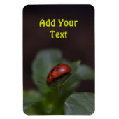 Magnet Flexible Ladybug (Vertical)